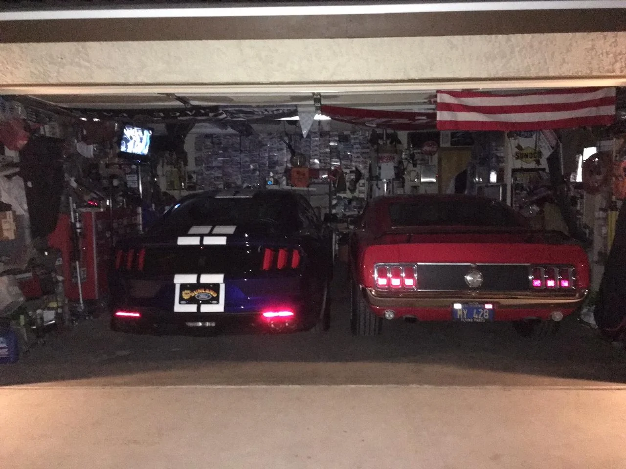 2 Mustangs.webp