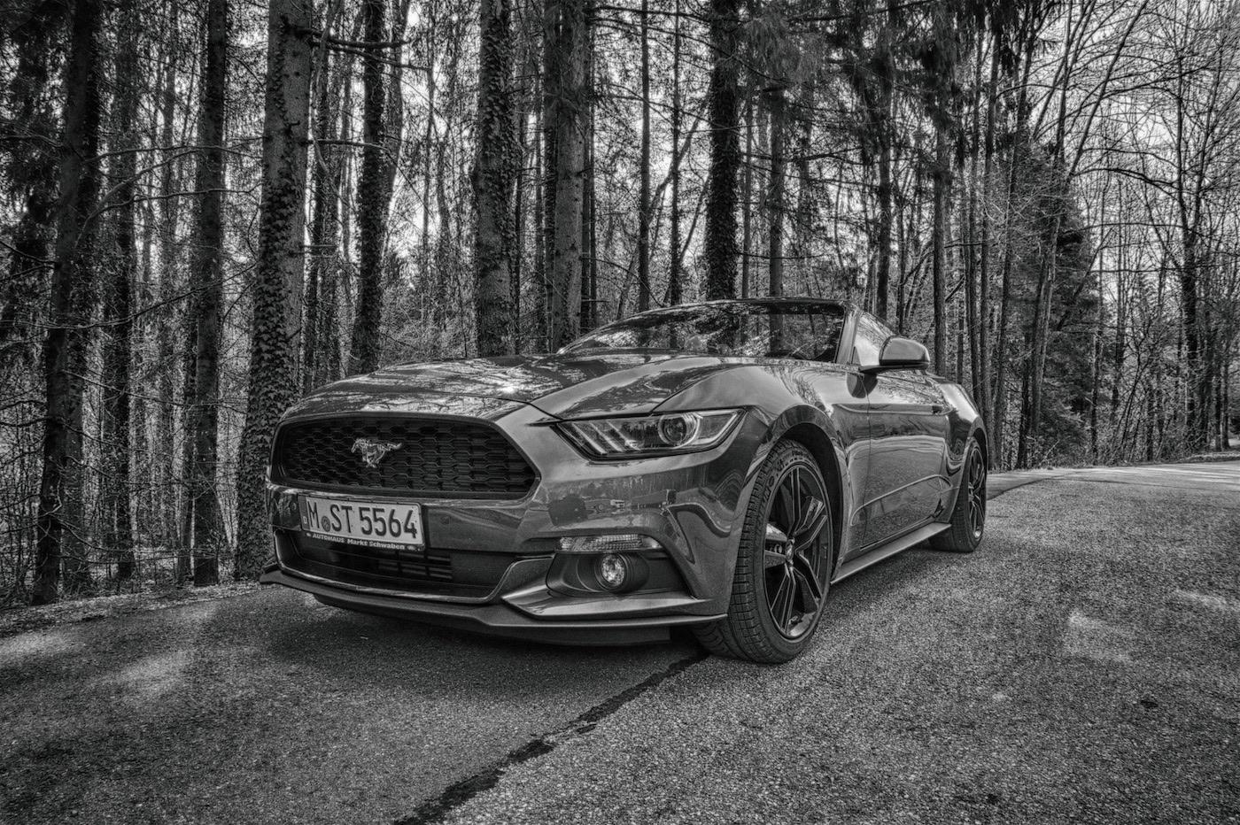 mm10 (1) Kopie 2.jpg