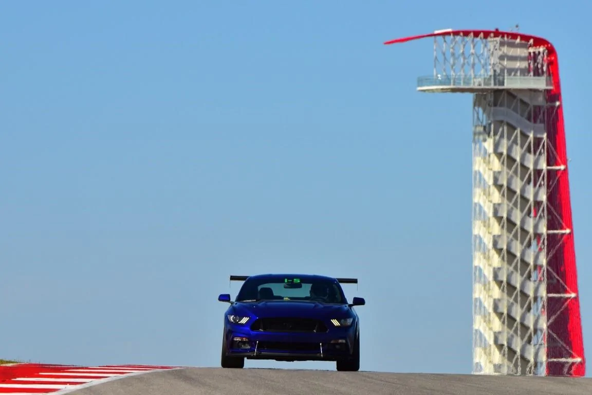 COTA 1.webp