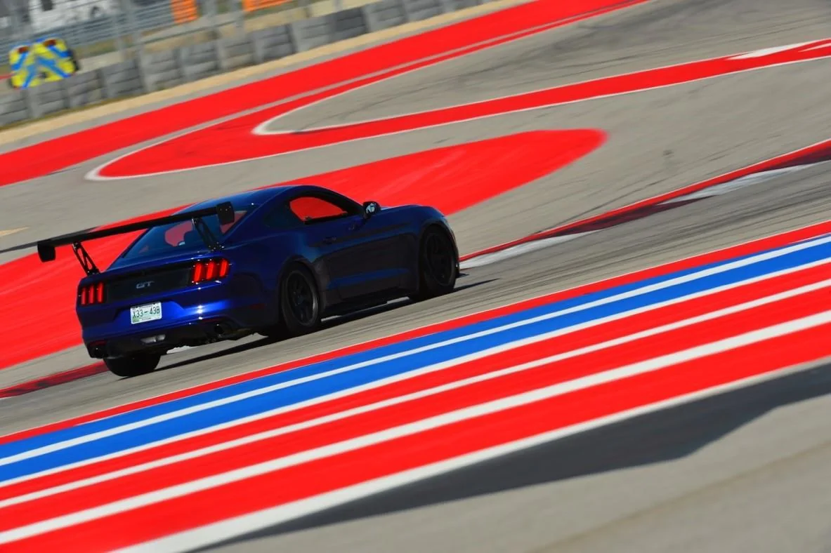 COTA 3.webp