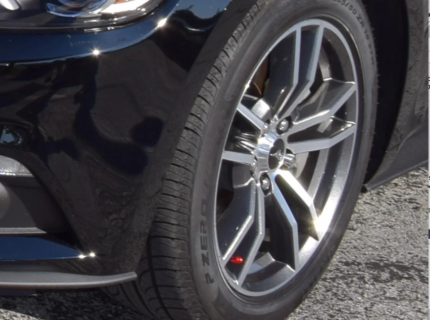 wheel.webp