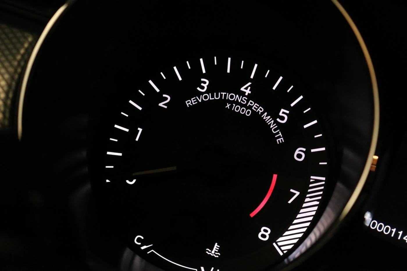 IMG_0497.webp