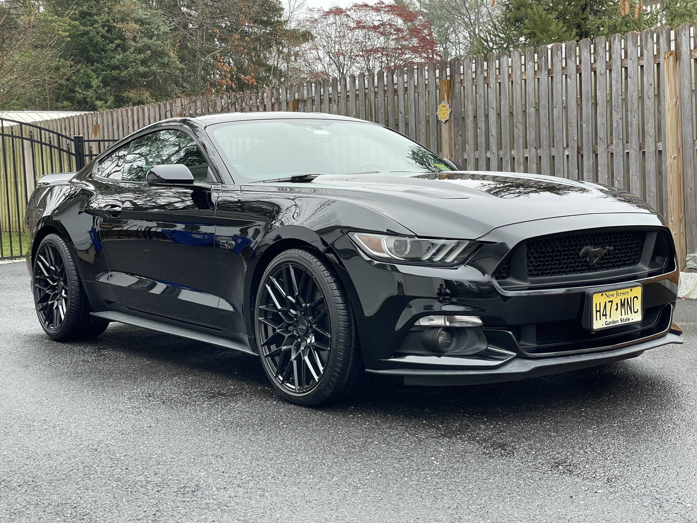 B8D0FD67-DC83-4A8E-911C-F34FEC9537CF.jpeg