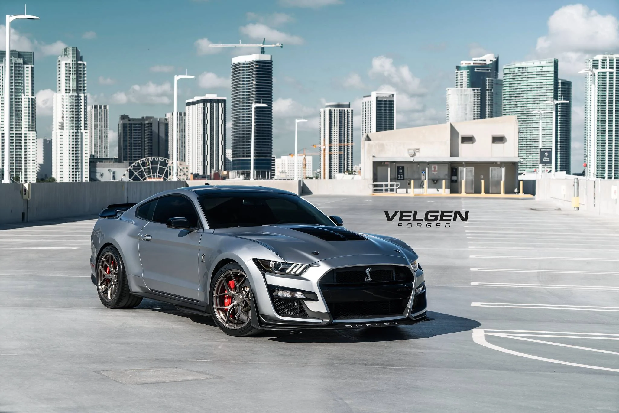 GT500 - VFMBX5 -1.webp
