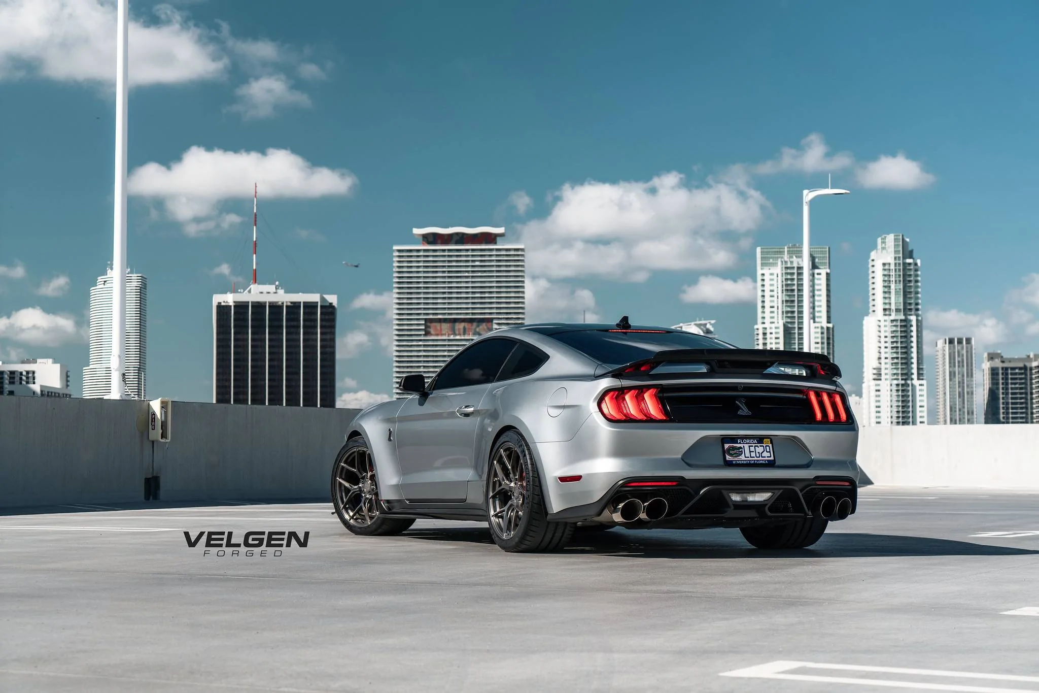 GT500 - VFMBX5 - 2.webp