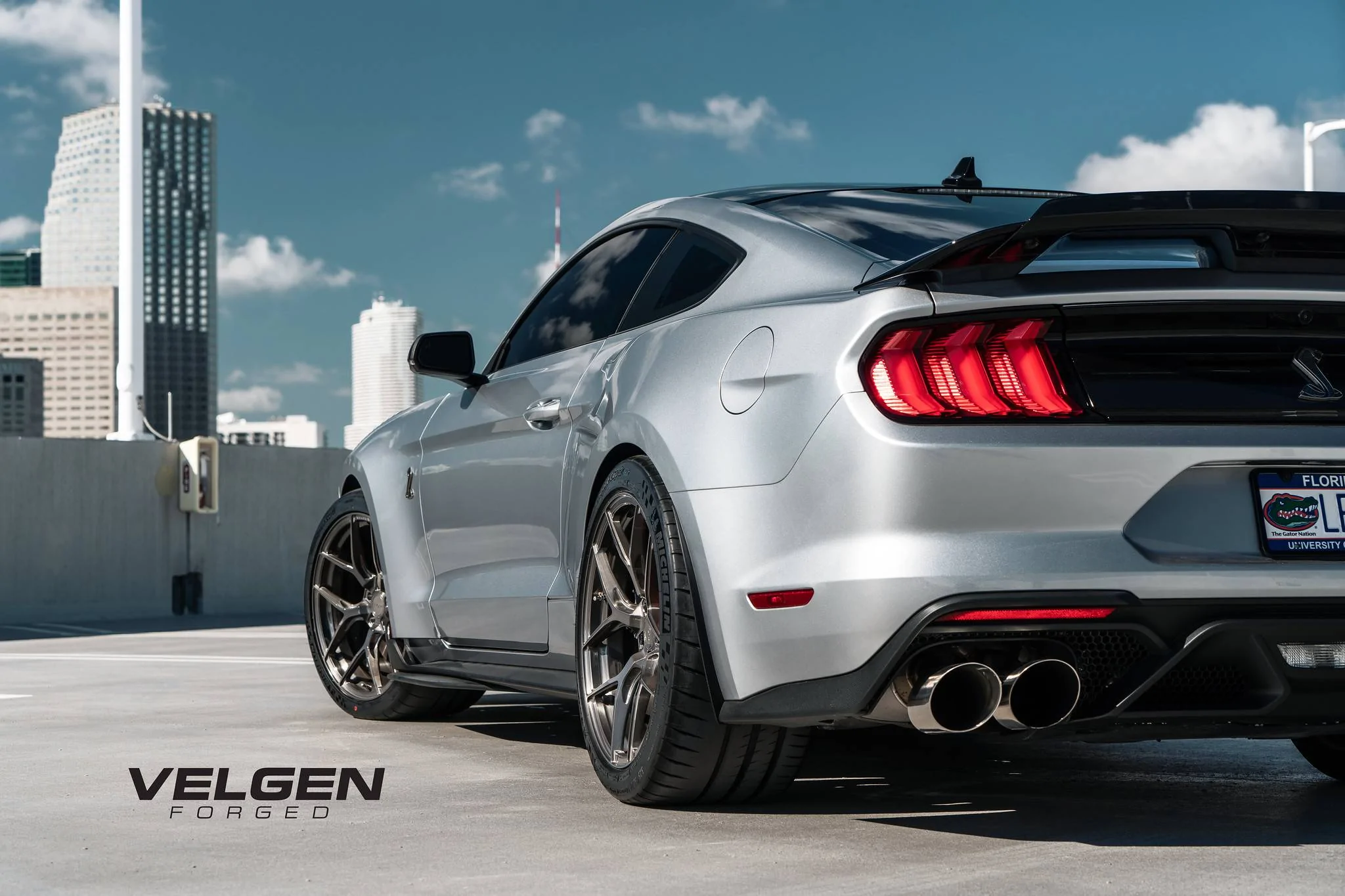 GT500 - VFMBX5 - 6.webp