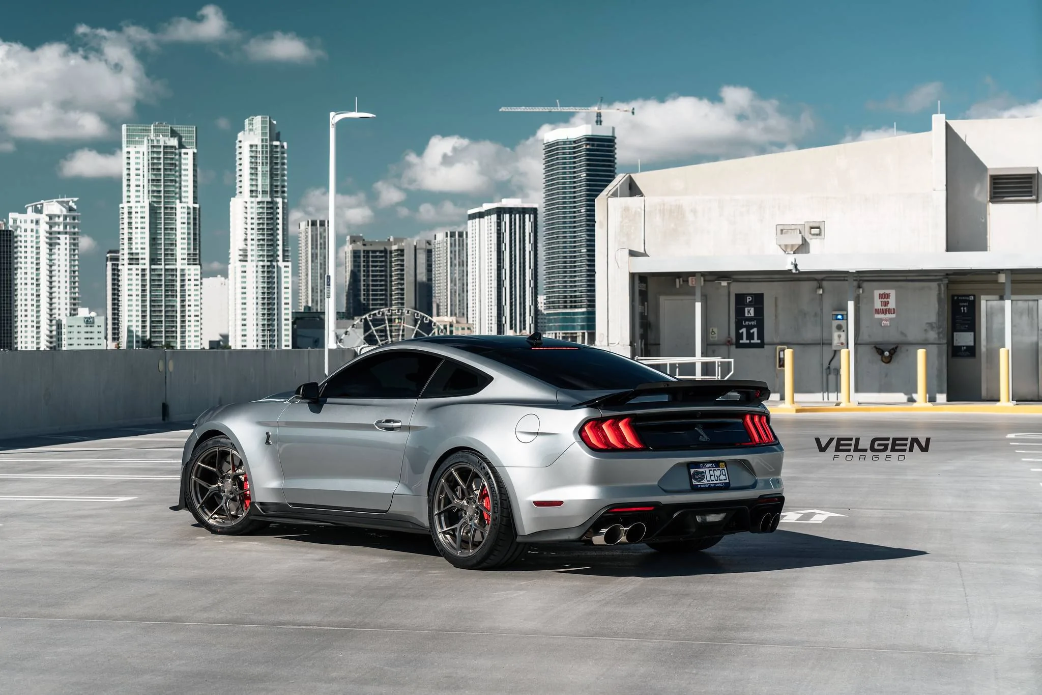 GT500 - VFMBX5 - 9.webp