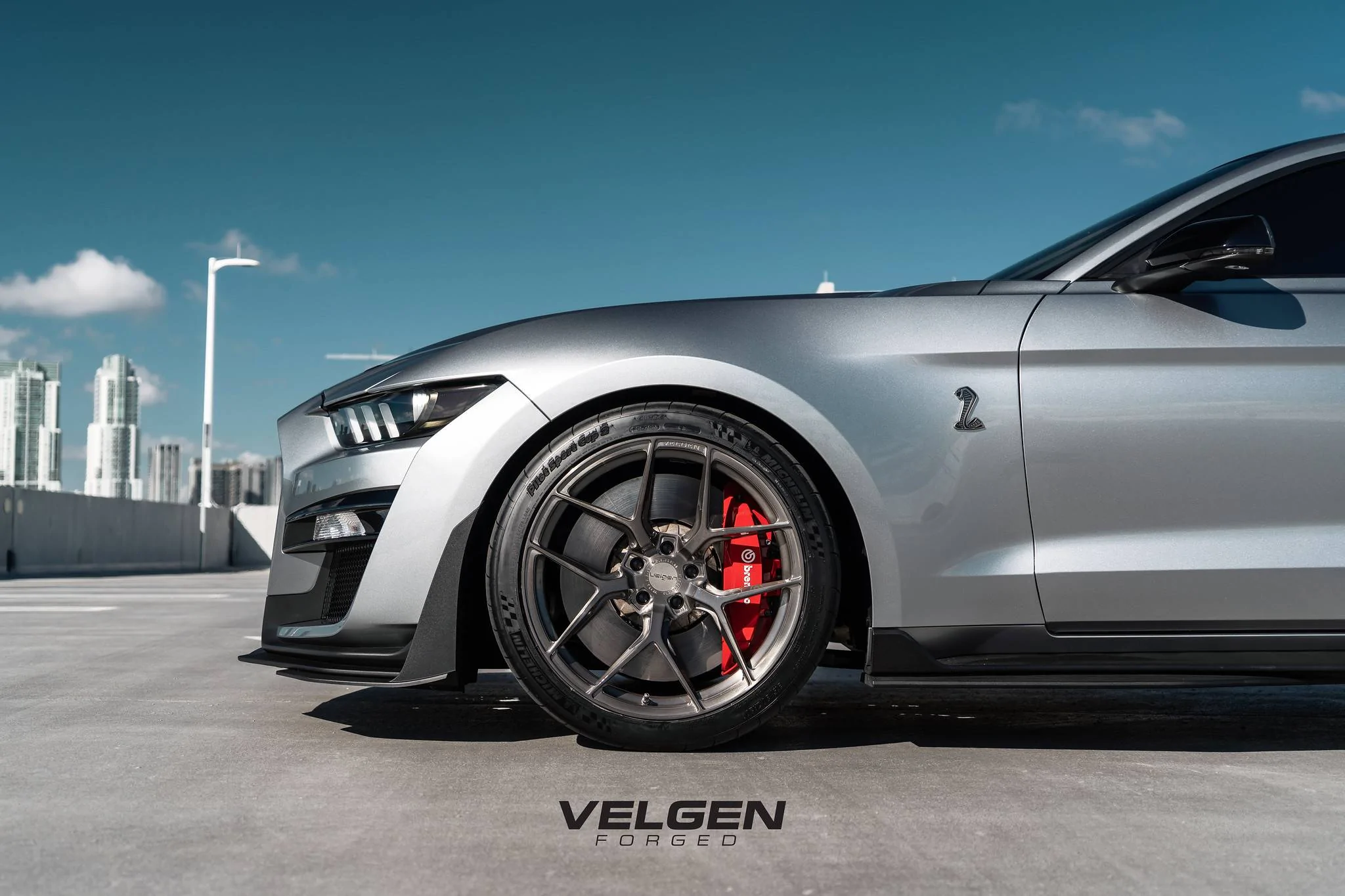 GT500 - VFMBX5 - 10.webp