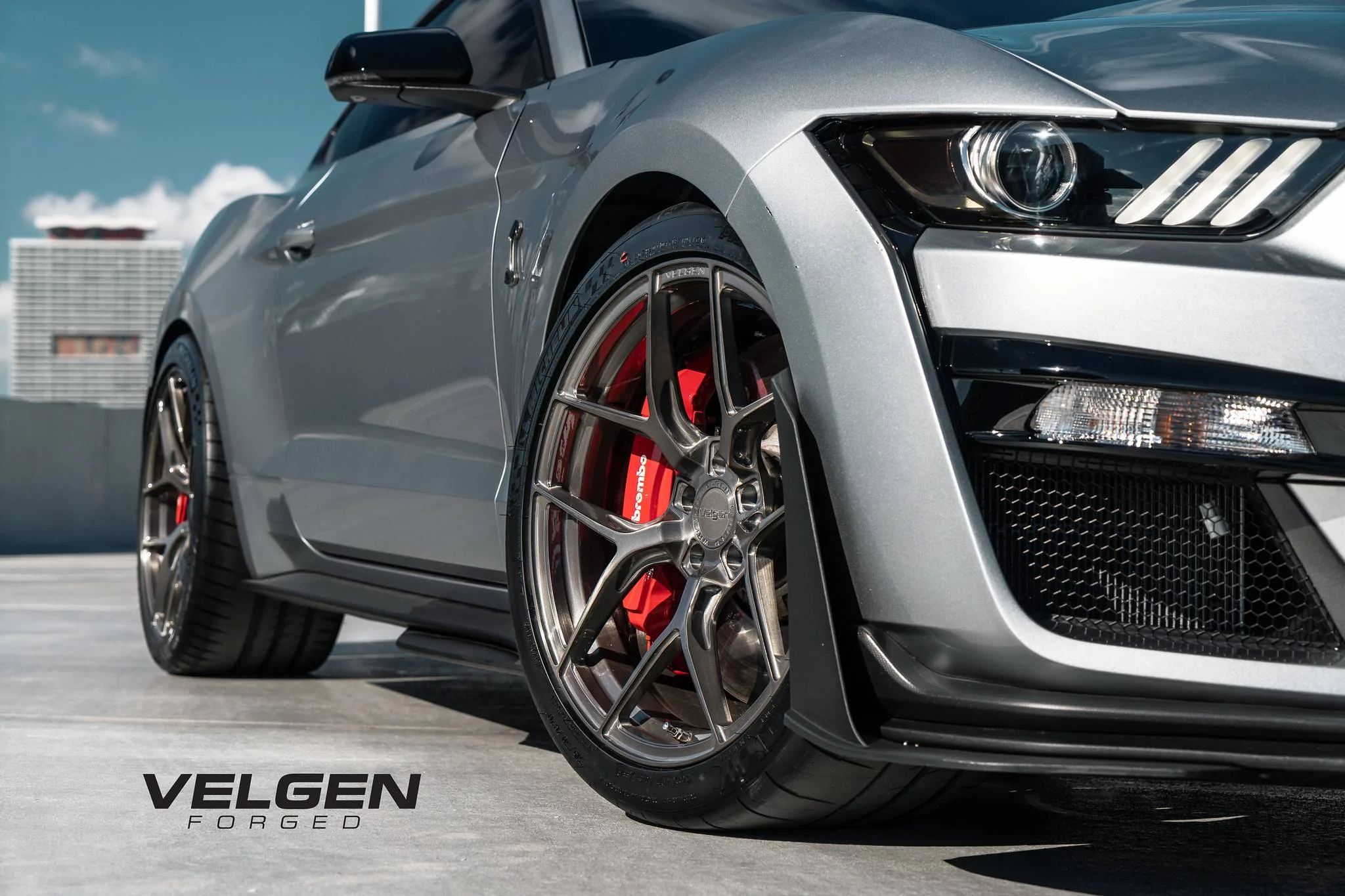 GT500 - VFMBX5 - 11.webp
