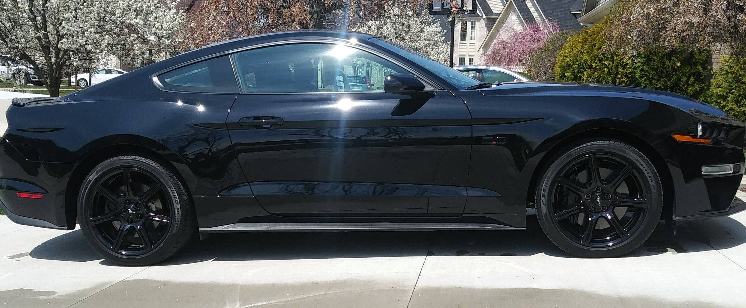 Mustang.jpg