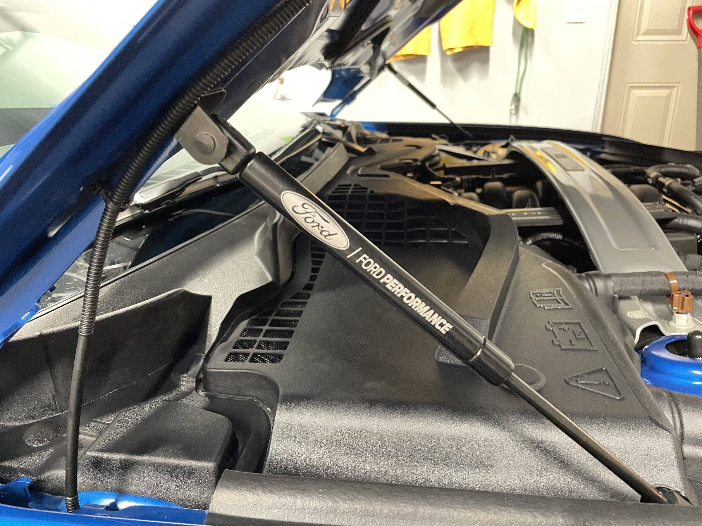 hoodstruts.jpg