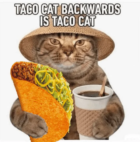 1641393045355.png