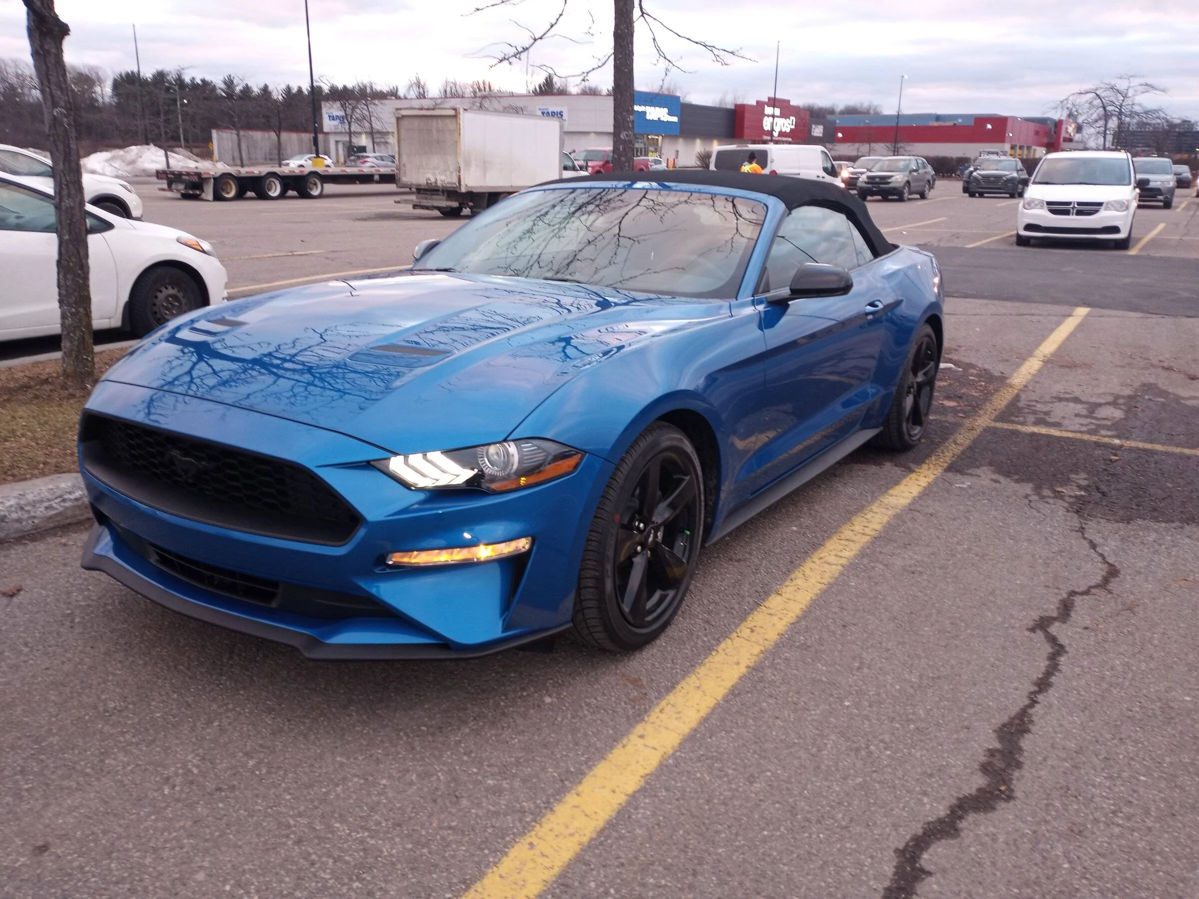 IMG_20211217_160134.webp
