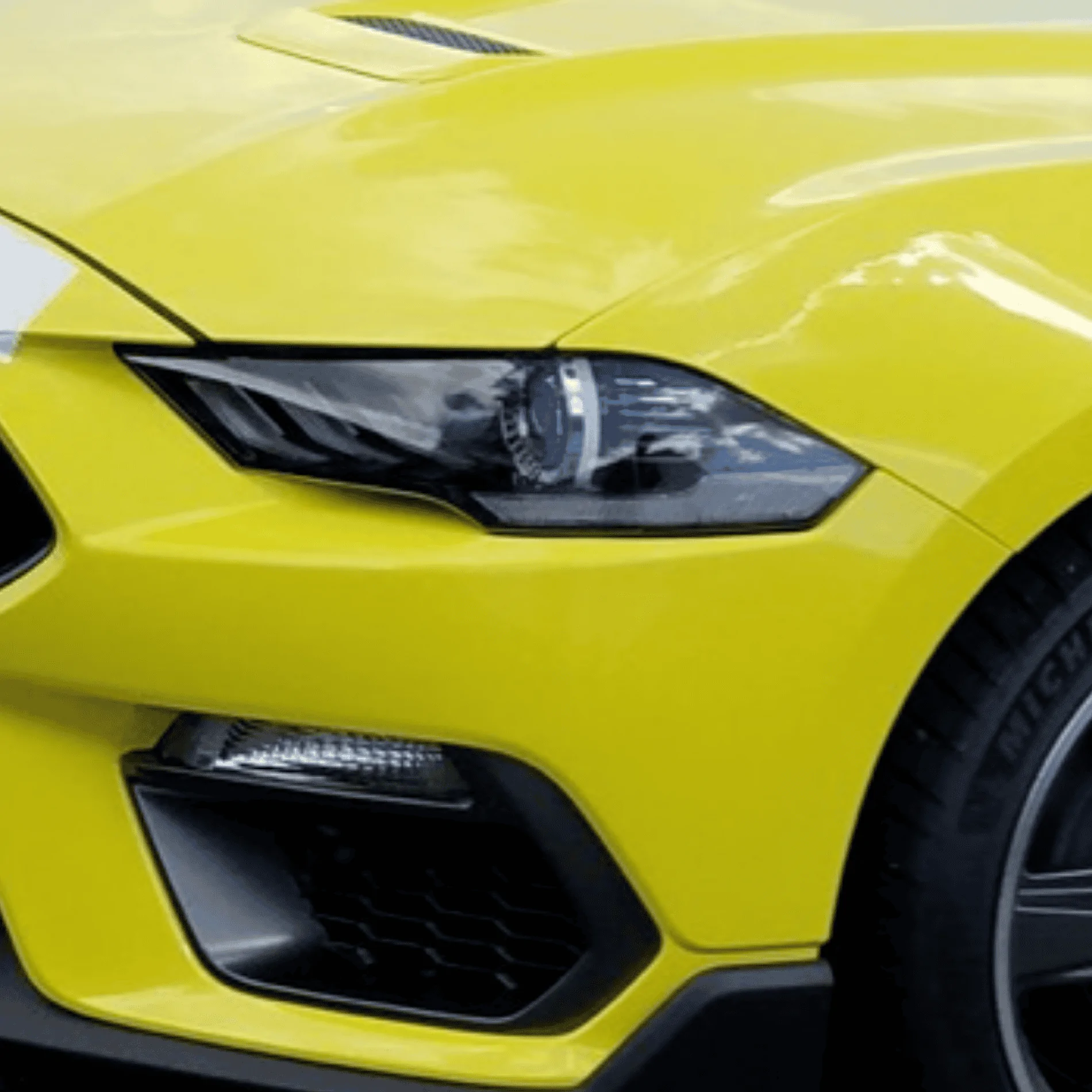 84F2D244-6031-4995-80C2-C224C3FA05E9.webp