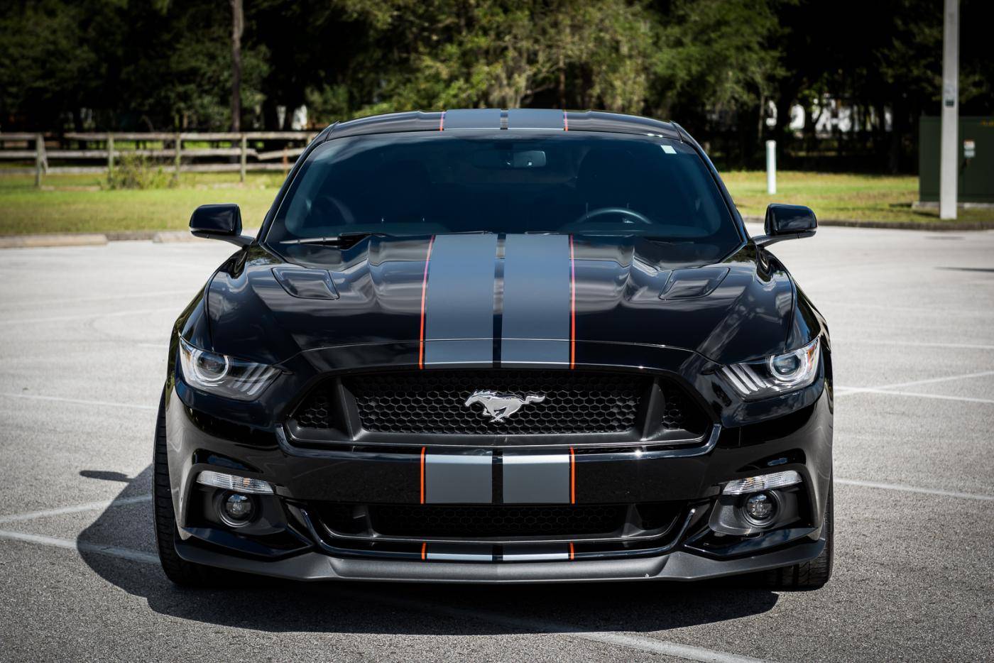 Mustang Stripes.jpg
