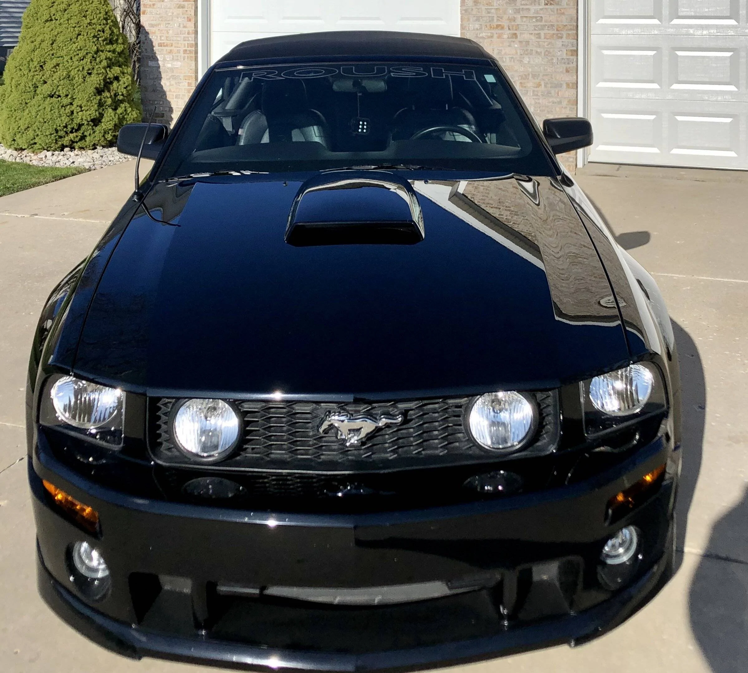 3C3904D6-9745-4C82-84DE-08FADC3B2FDF.webp