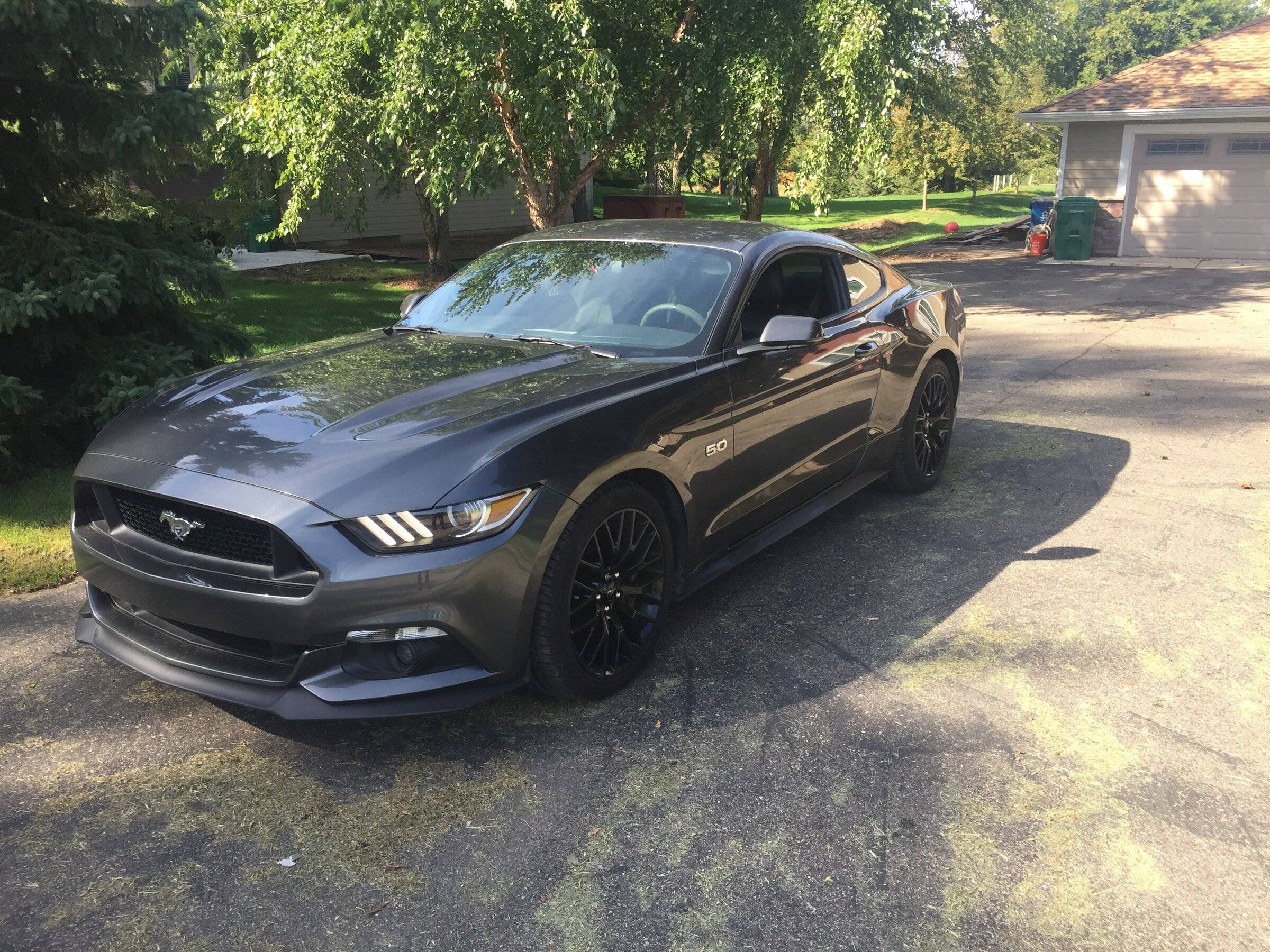 mustang arrival.JPG