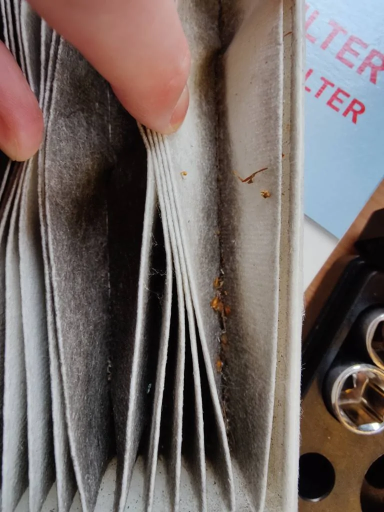 Pollen_Filter_2.webp