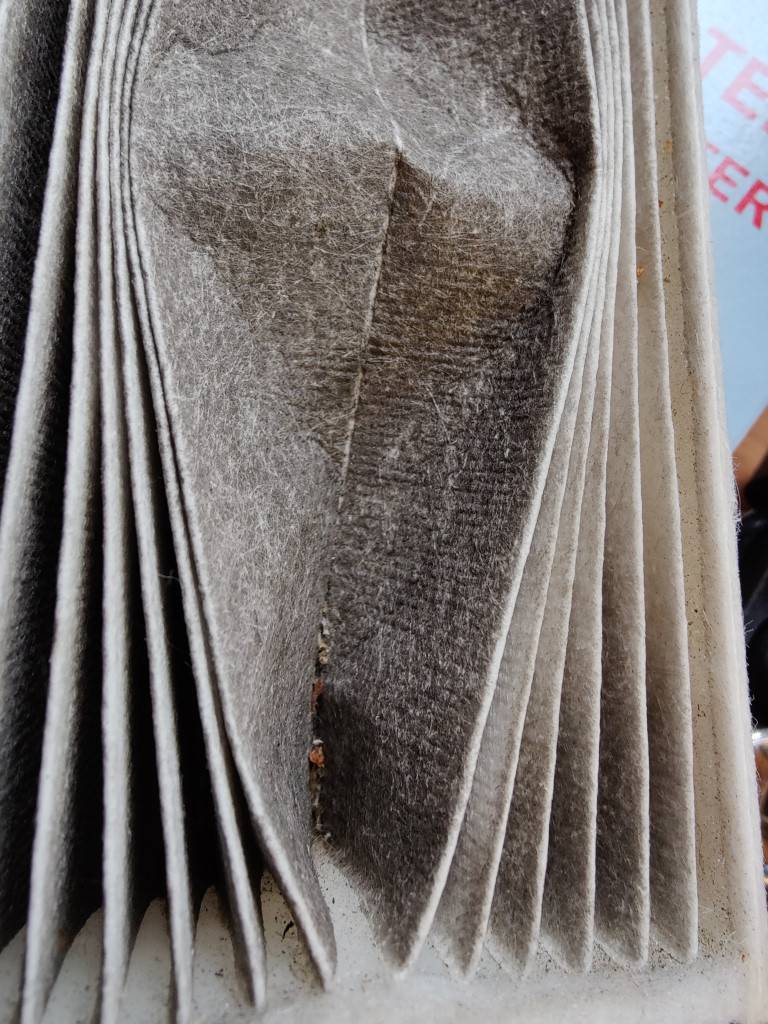 Pollen_Filter_1.jpg