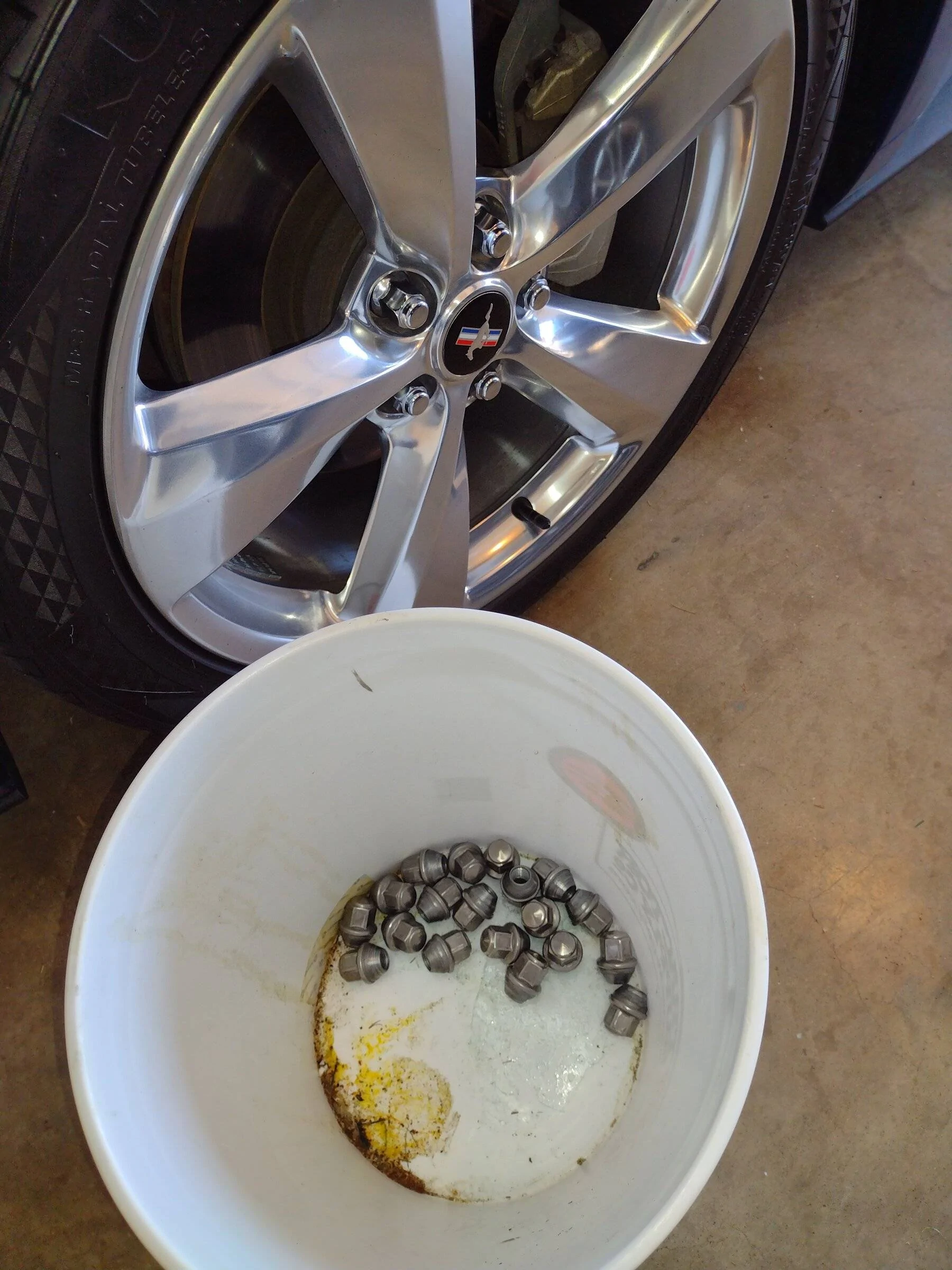 IMG_20220116_112633930.webp
