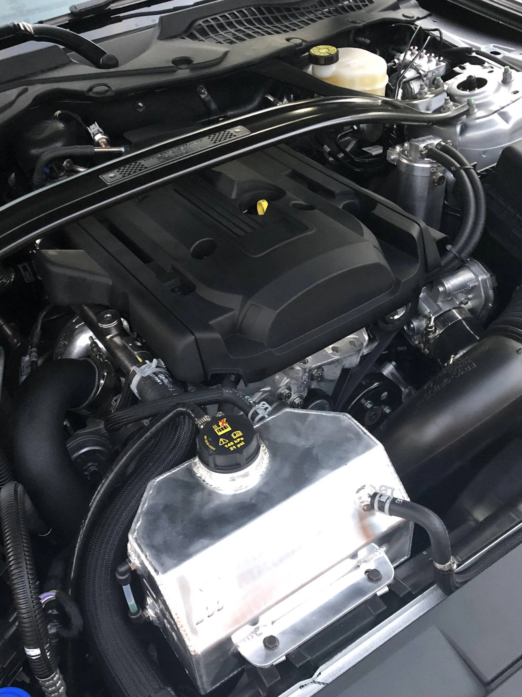 Engine_Mustang.webp