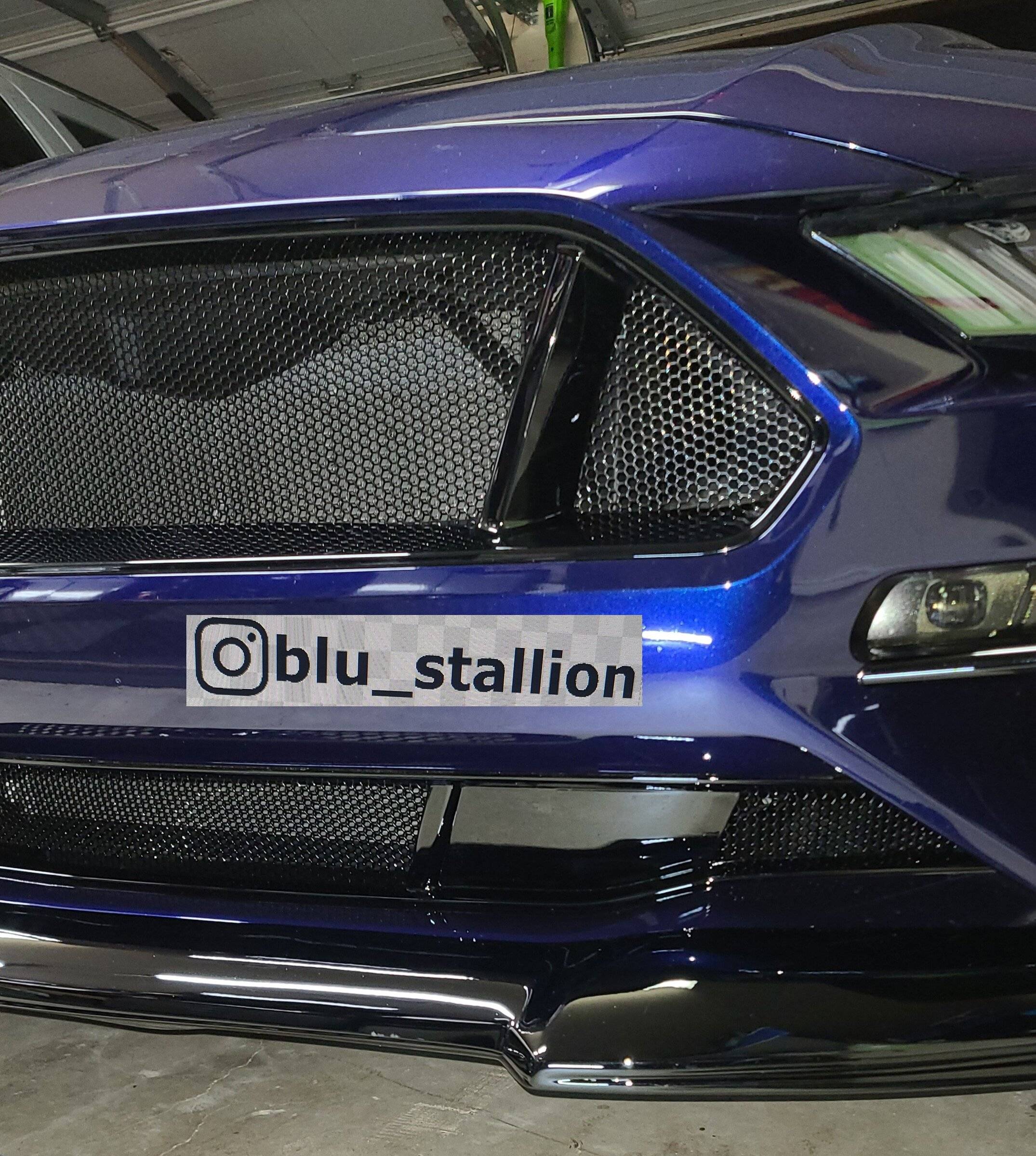 blu_stallion CCG3.jpg