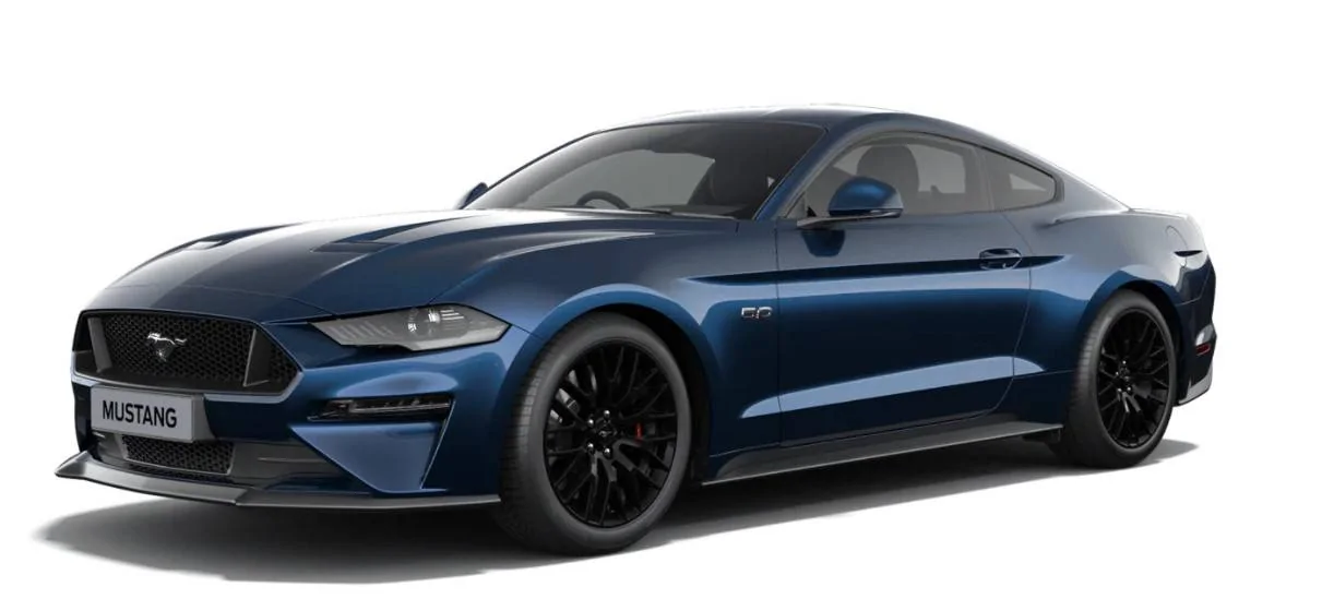 Mustang8.jpg