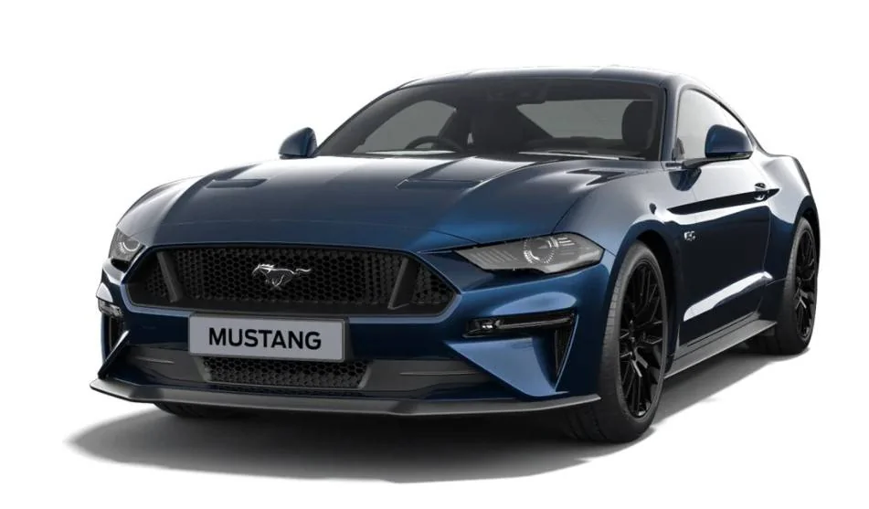 Mustang9.jpg
