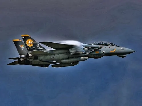F-14 Tomcat_1280.jpg
