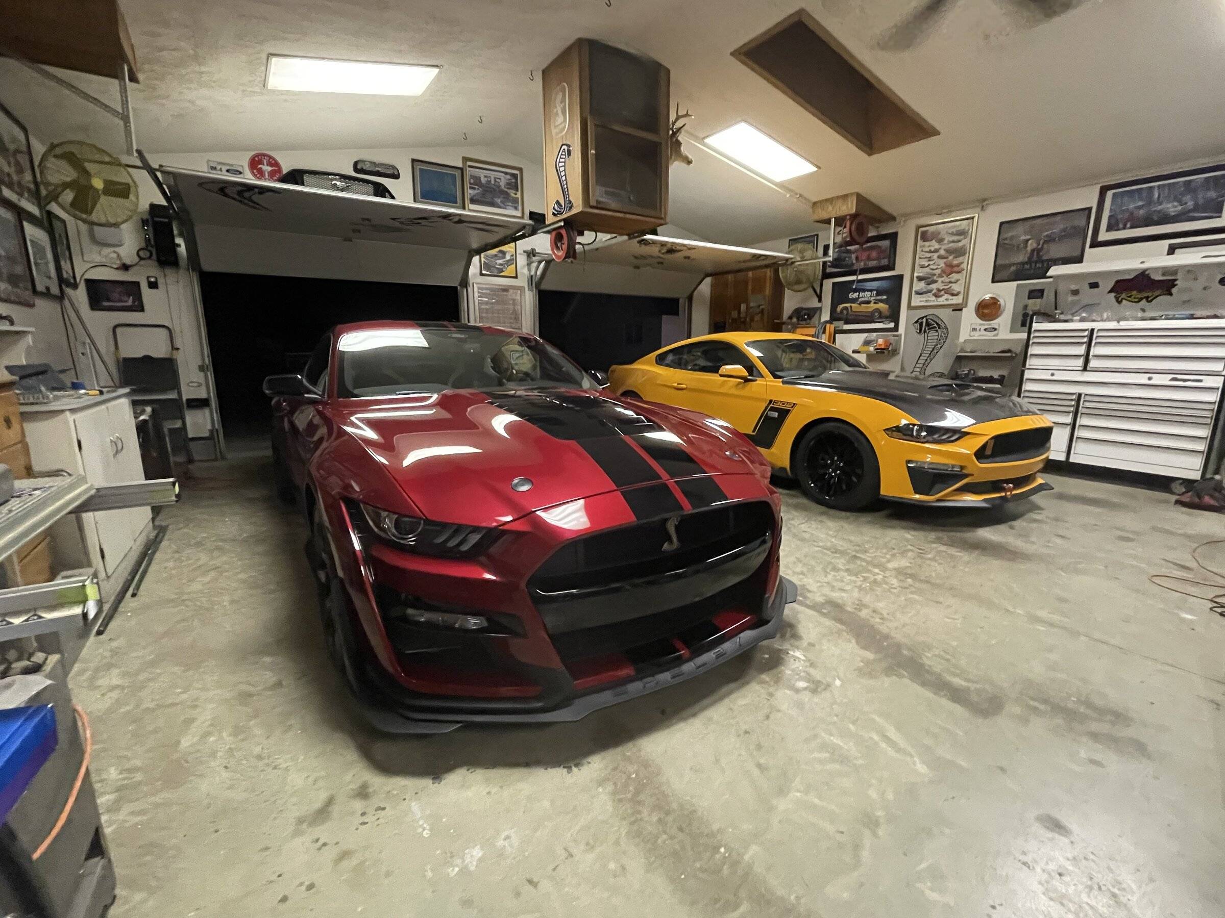 shelby garage.jpg