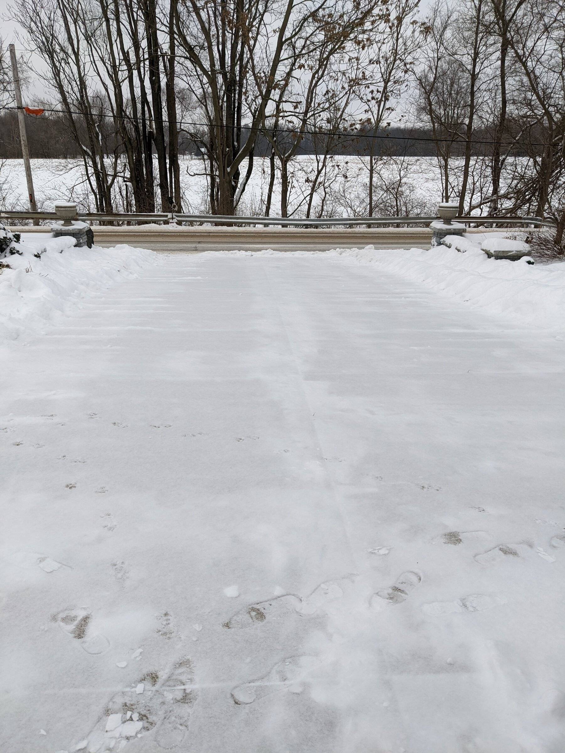PXL_20220124_222058459.jpg