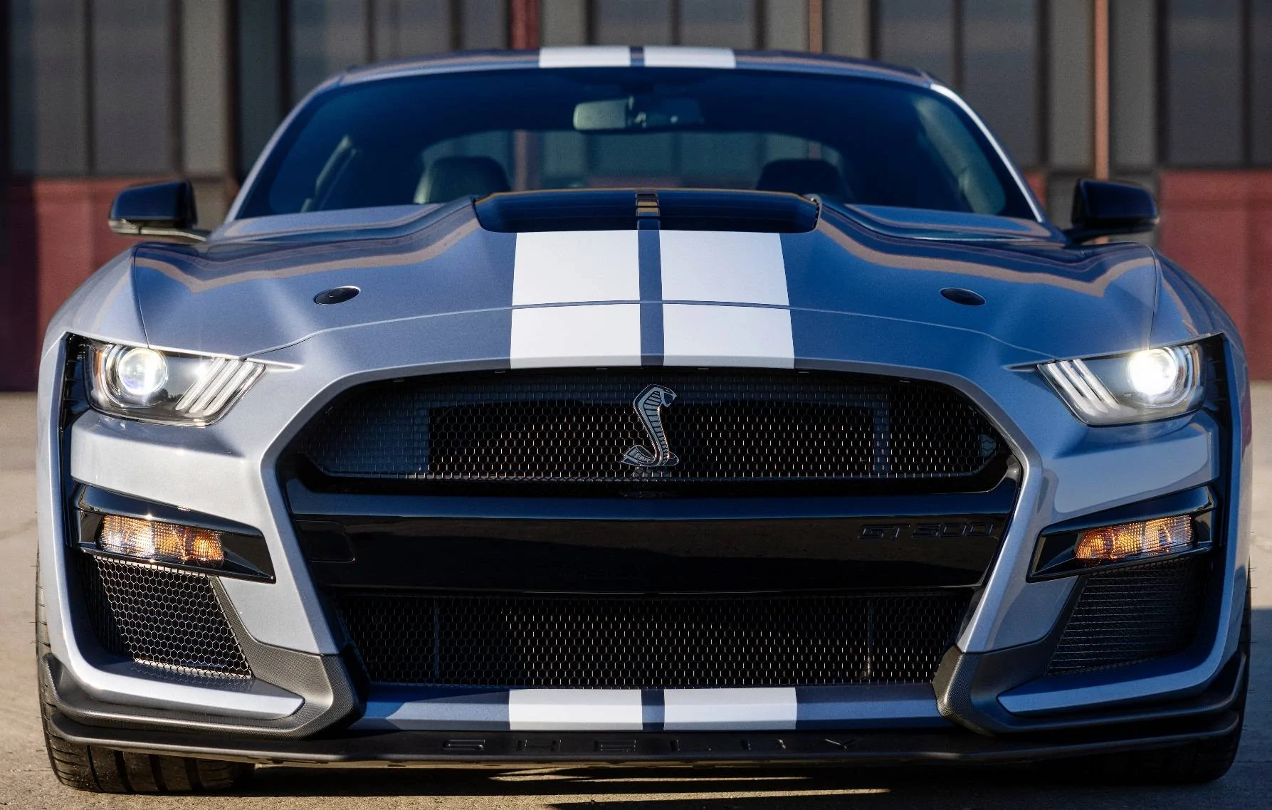 GT50 HE2.jpg