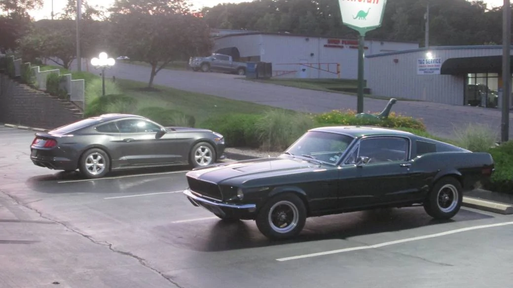 2stangs.JPG