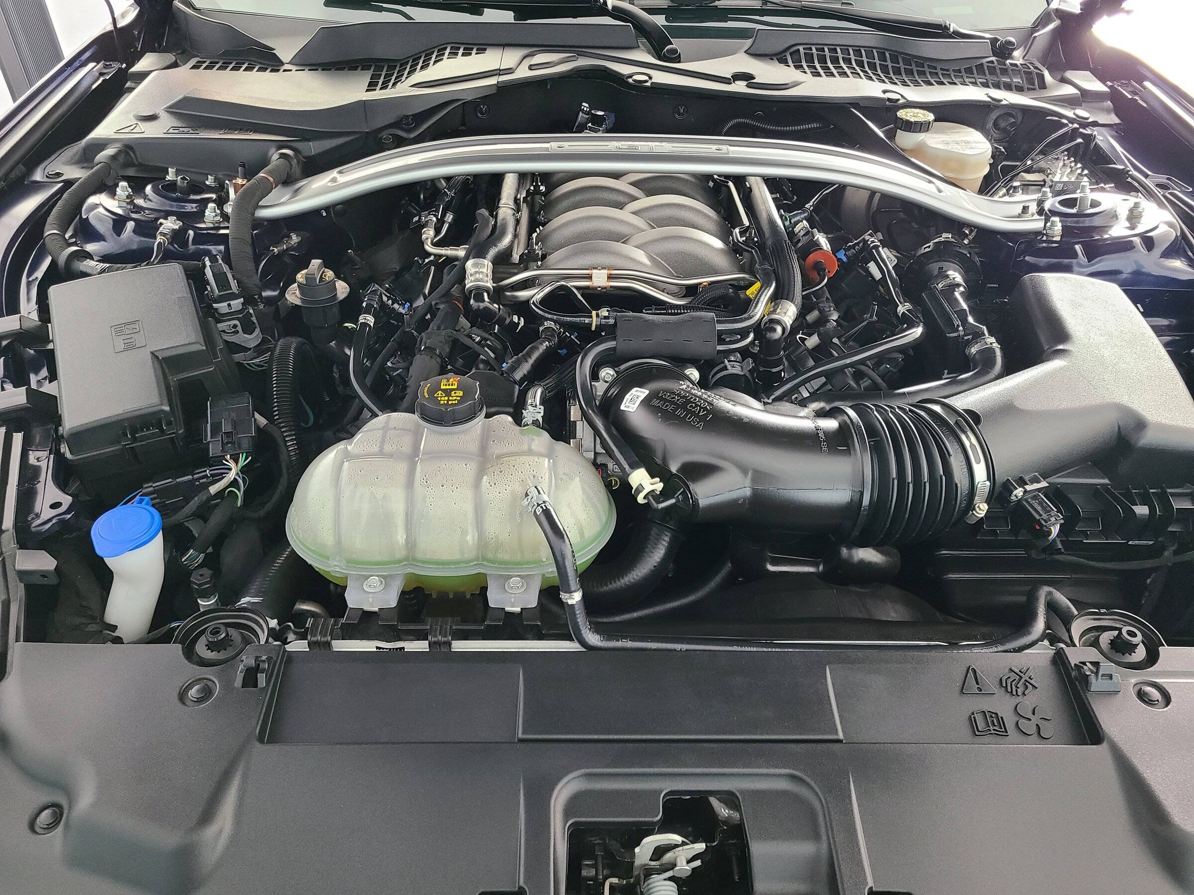 20220129_173209.jpg