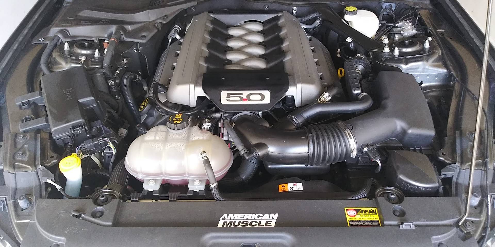 20220128_125442 eng.jpg
