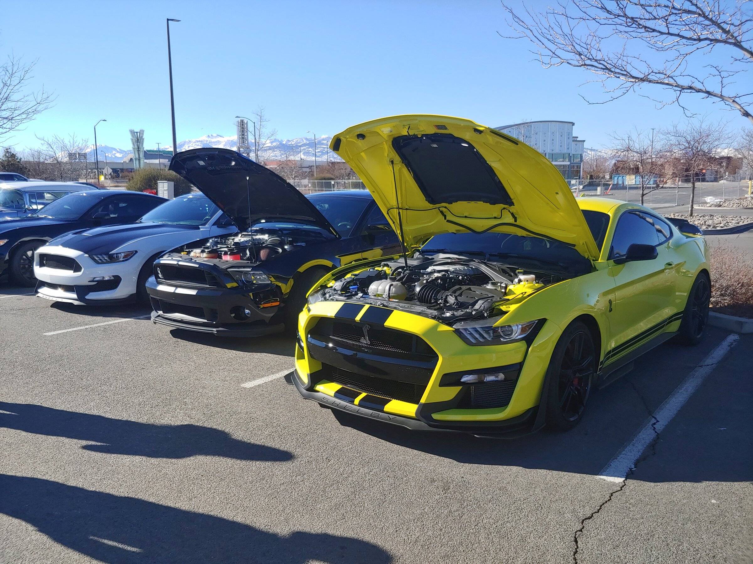 20220123_110340.jpg