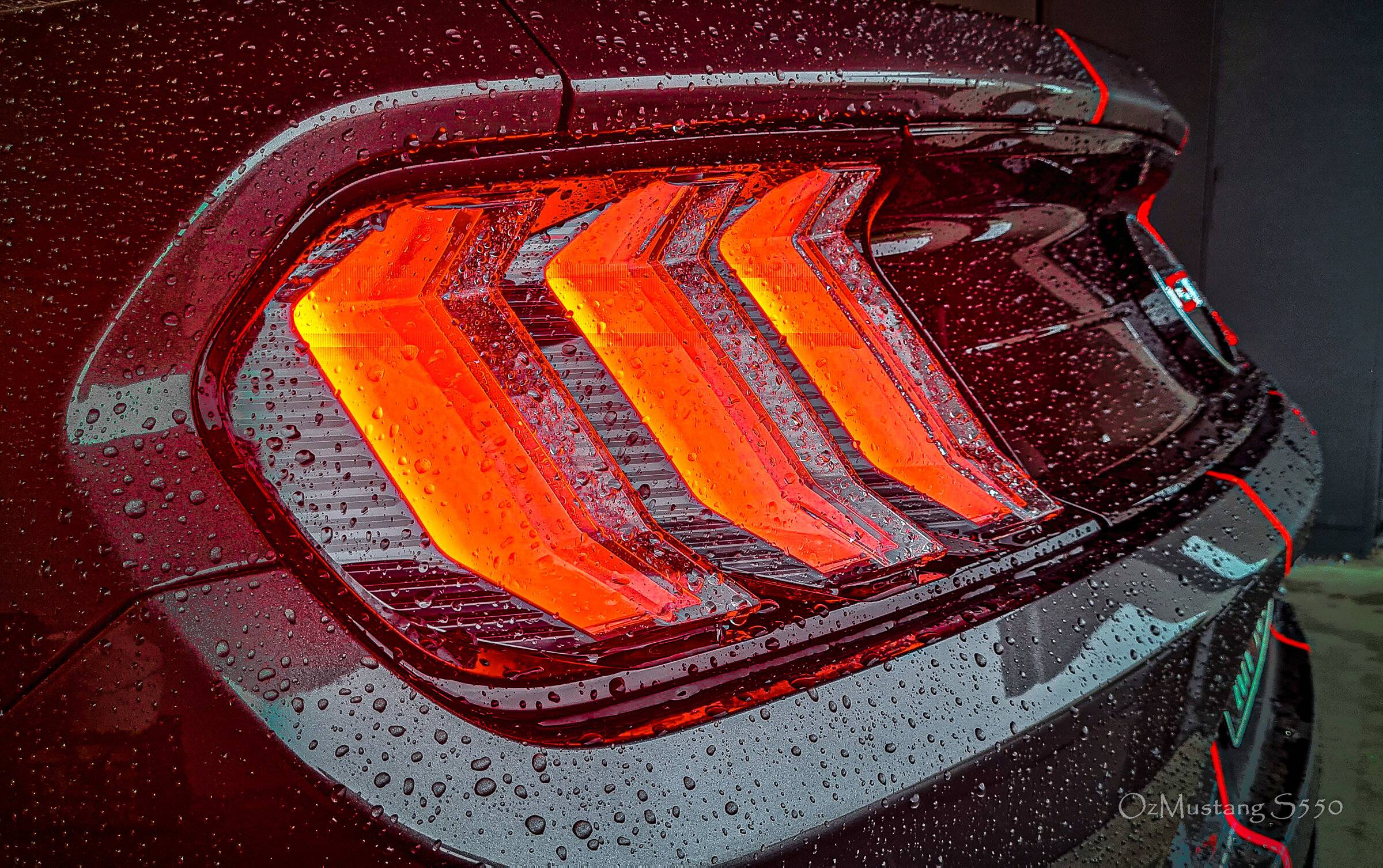 20220123_102044-Edit (Lr8).jpg