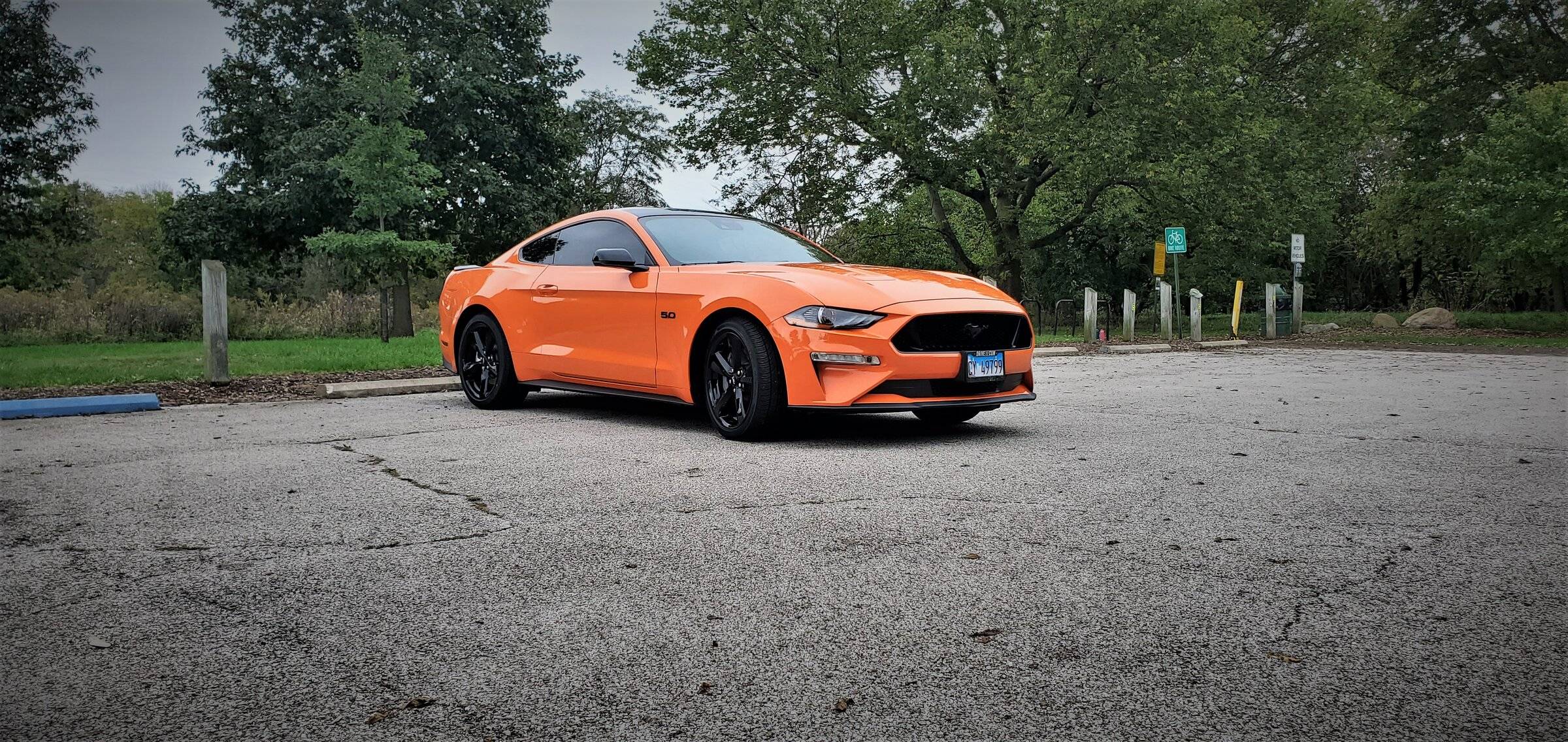 Mustang First Week.jpg