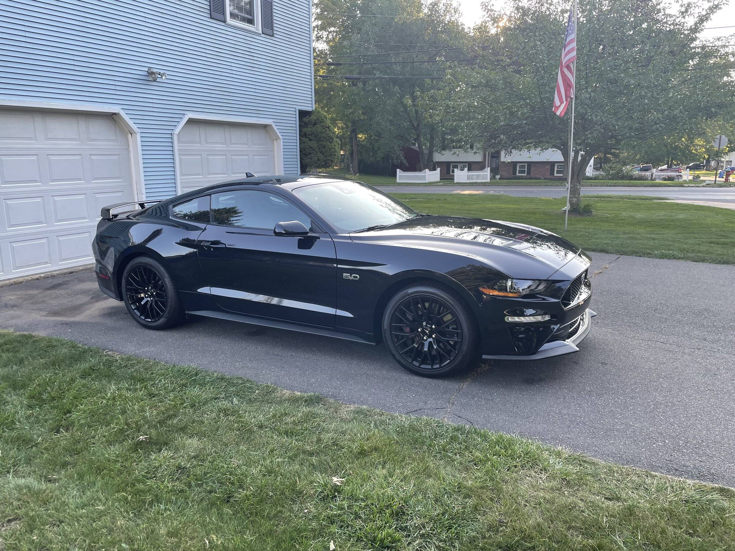 mustang pic.jpg