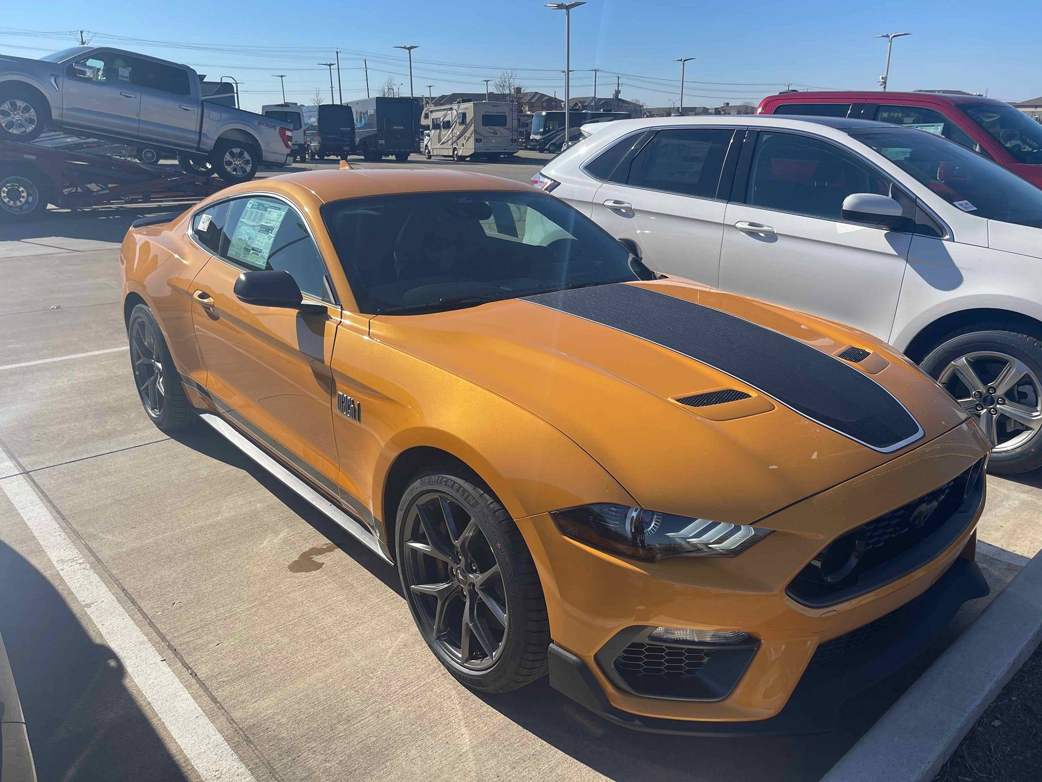 cyberorangestang.jpg