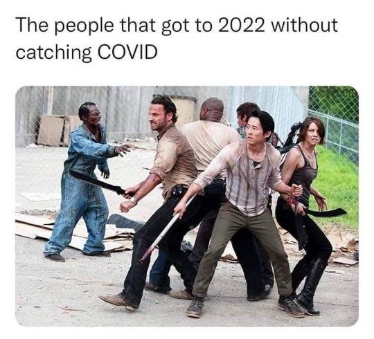 99e06226f39ff30cd0d26aee0510922faccdb5da.jpg