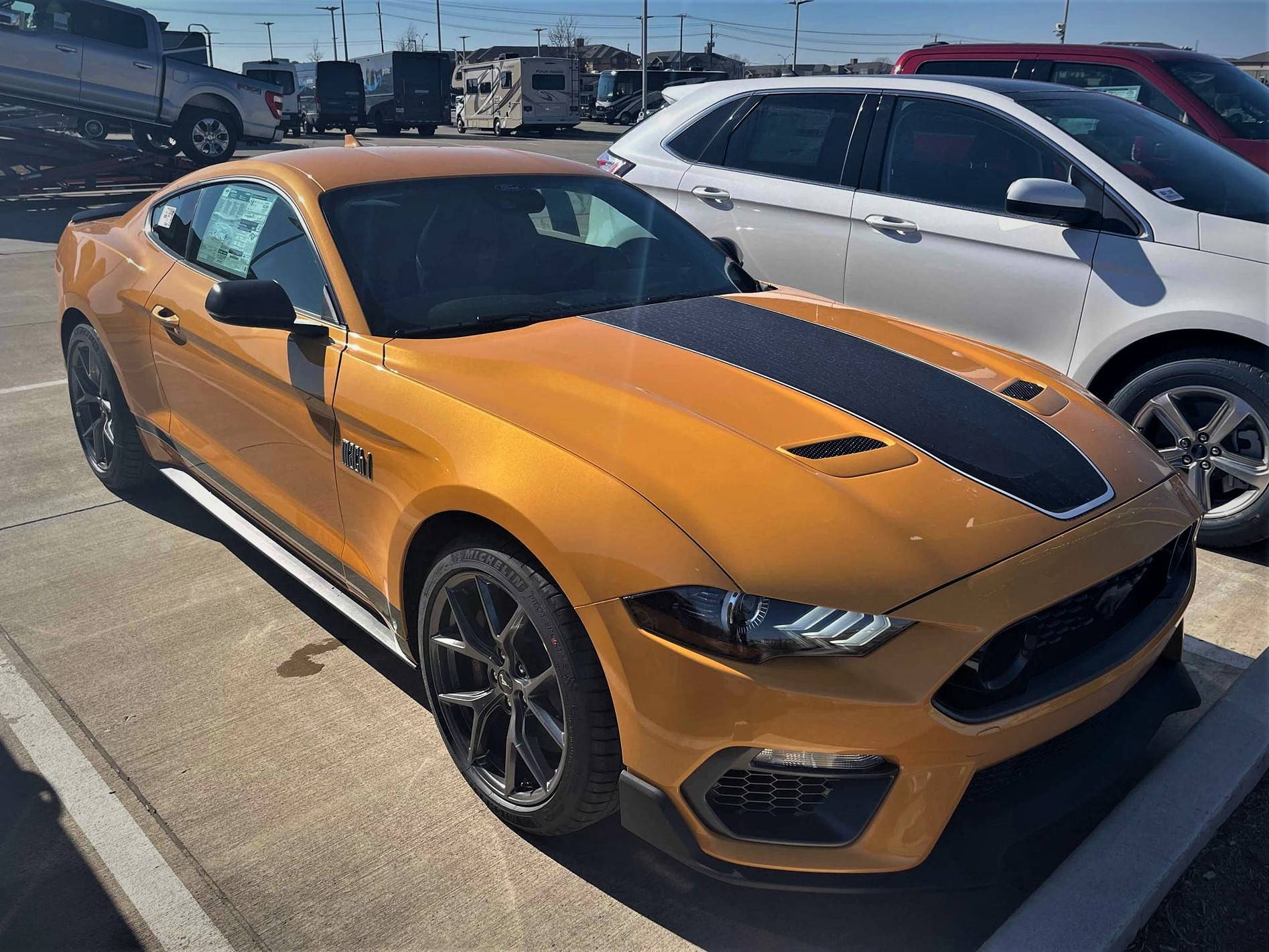 cyberorangestang.jpg