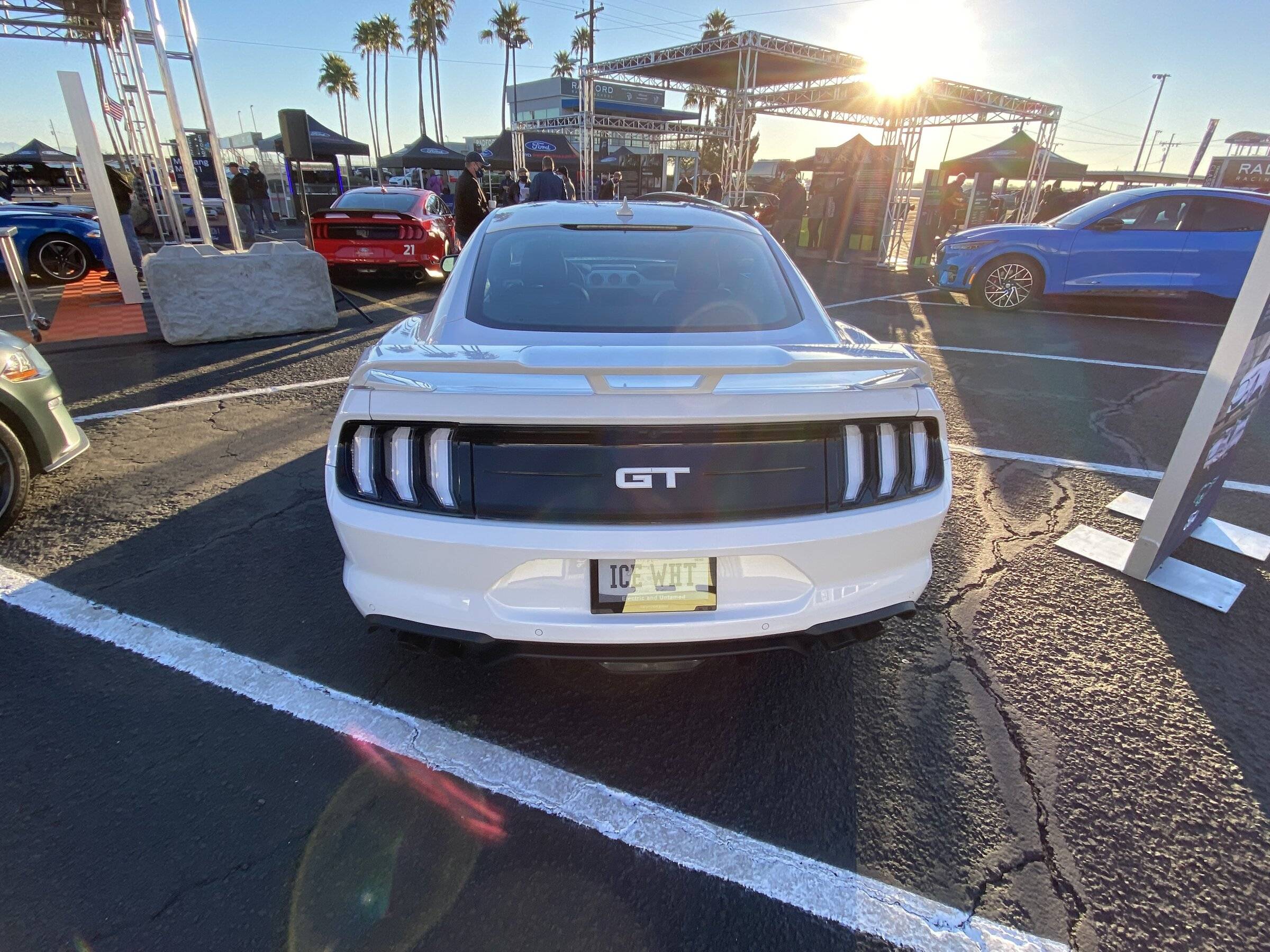 IMG_6166.jpg