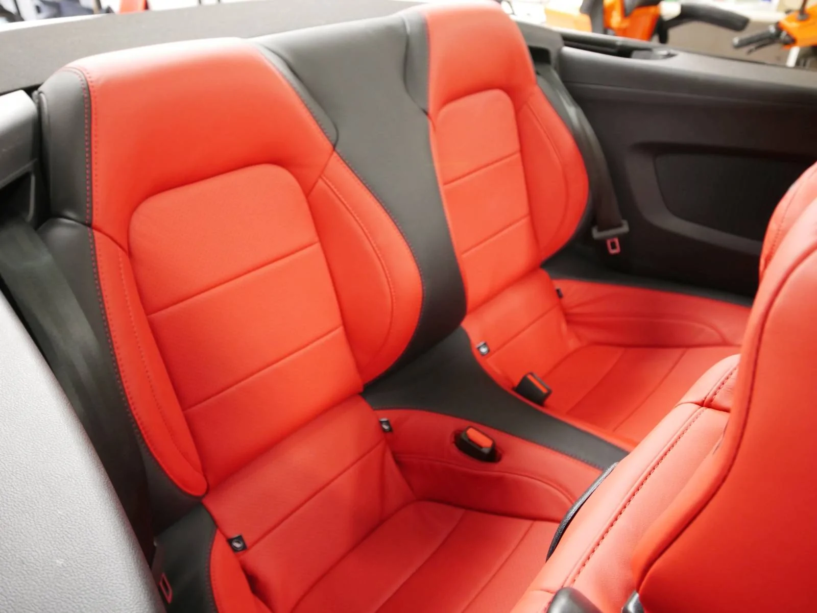 Back seats.webp