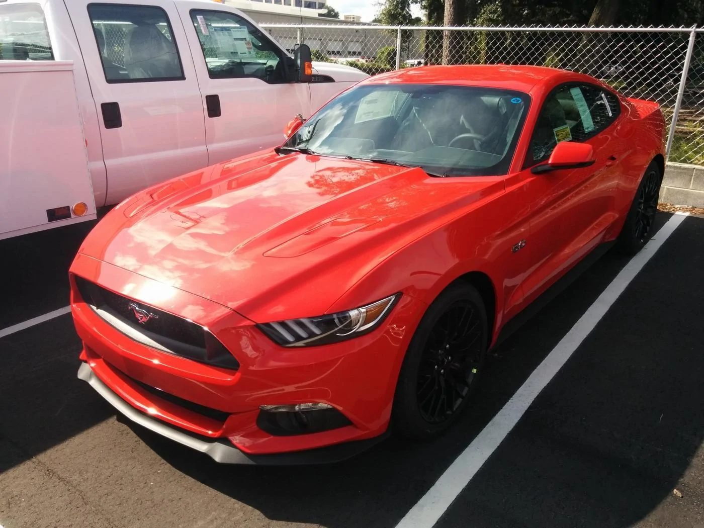 IMG_20151009_151411.webp