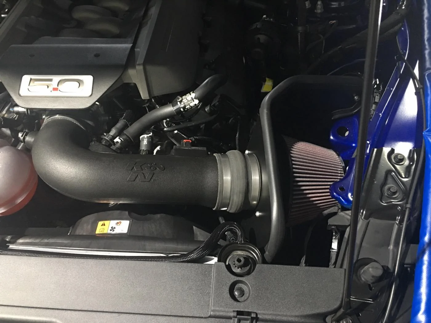 IMG_0210.webp