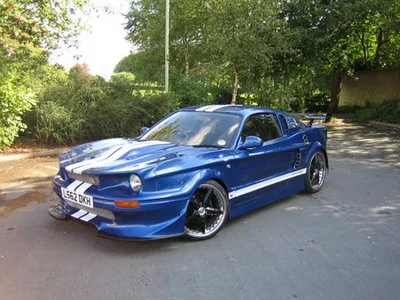 stang5.webp