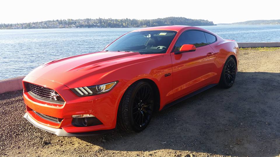 2016 Mustang GT.jpg