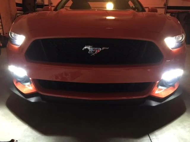 New lights.webp