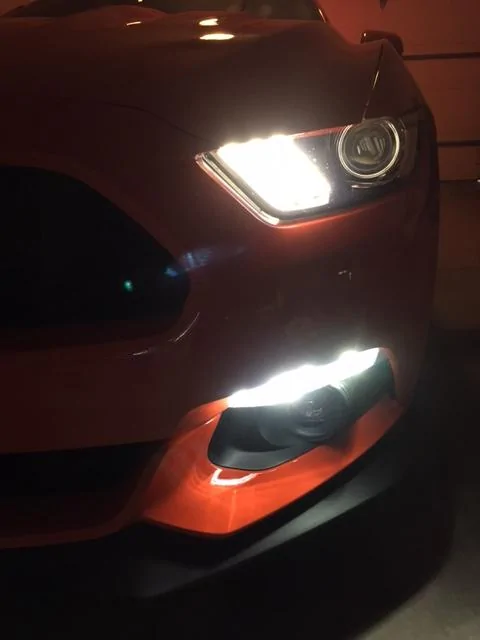 new lights 2.webp